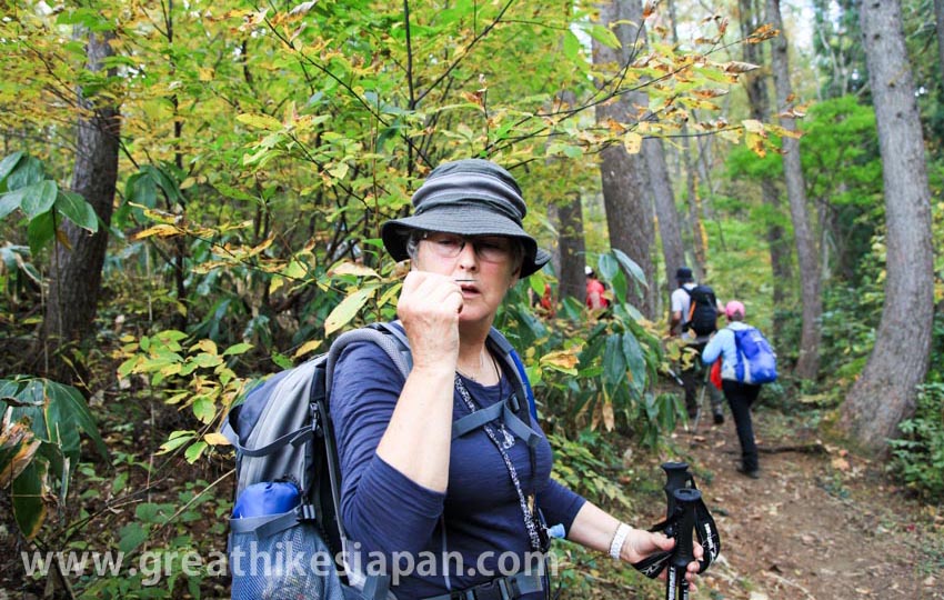 hiking in Japan